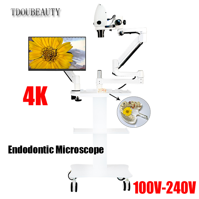 Teeth Whitening Video - 4K Tandheelkundige Elektronenmicroscoop 20 Miljoen Pixels