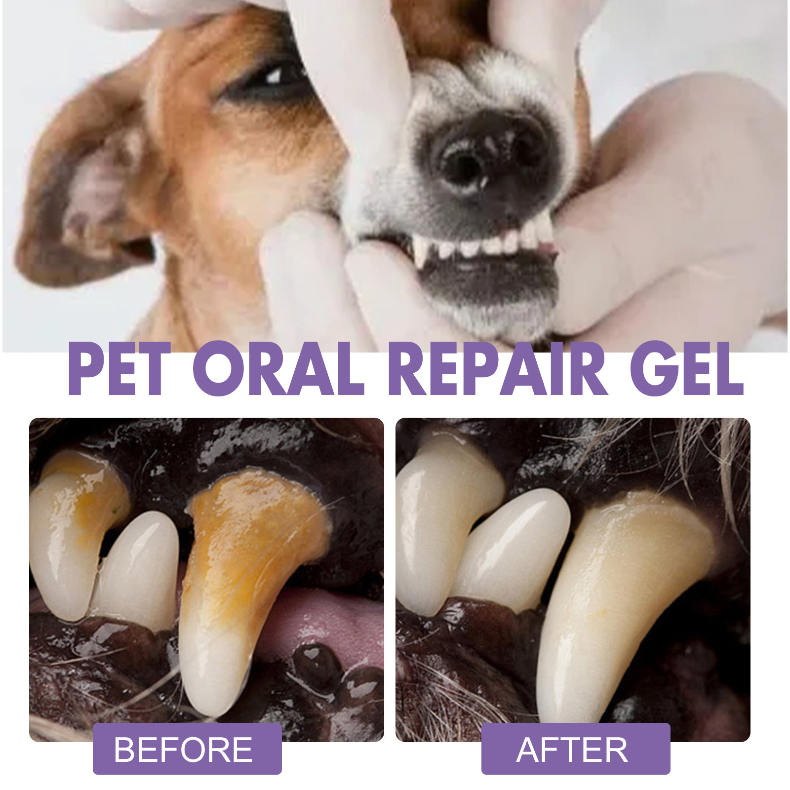 Huisdier Orale Reparatie Gel P - Teeth Whitening Q&M recensie en prijs